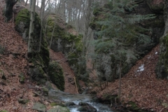 2015-01-24 102634_01