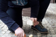 11303546_884385561599846_1164498472_n