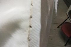 27711371_1839621399675107_1383504034_o