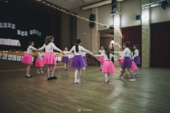 27788395_1367905163314636_6499941051053869356_o